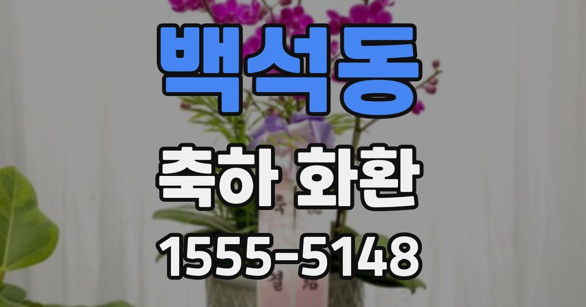 백석동 축하 화환