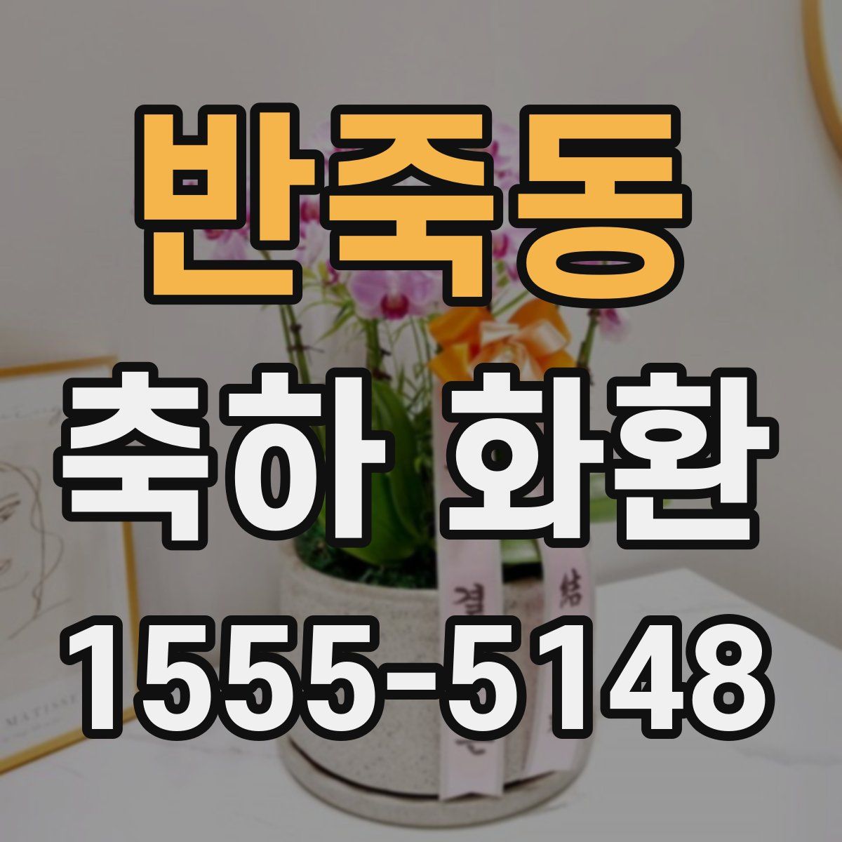 반죽동 축하 화환