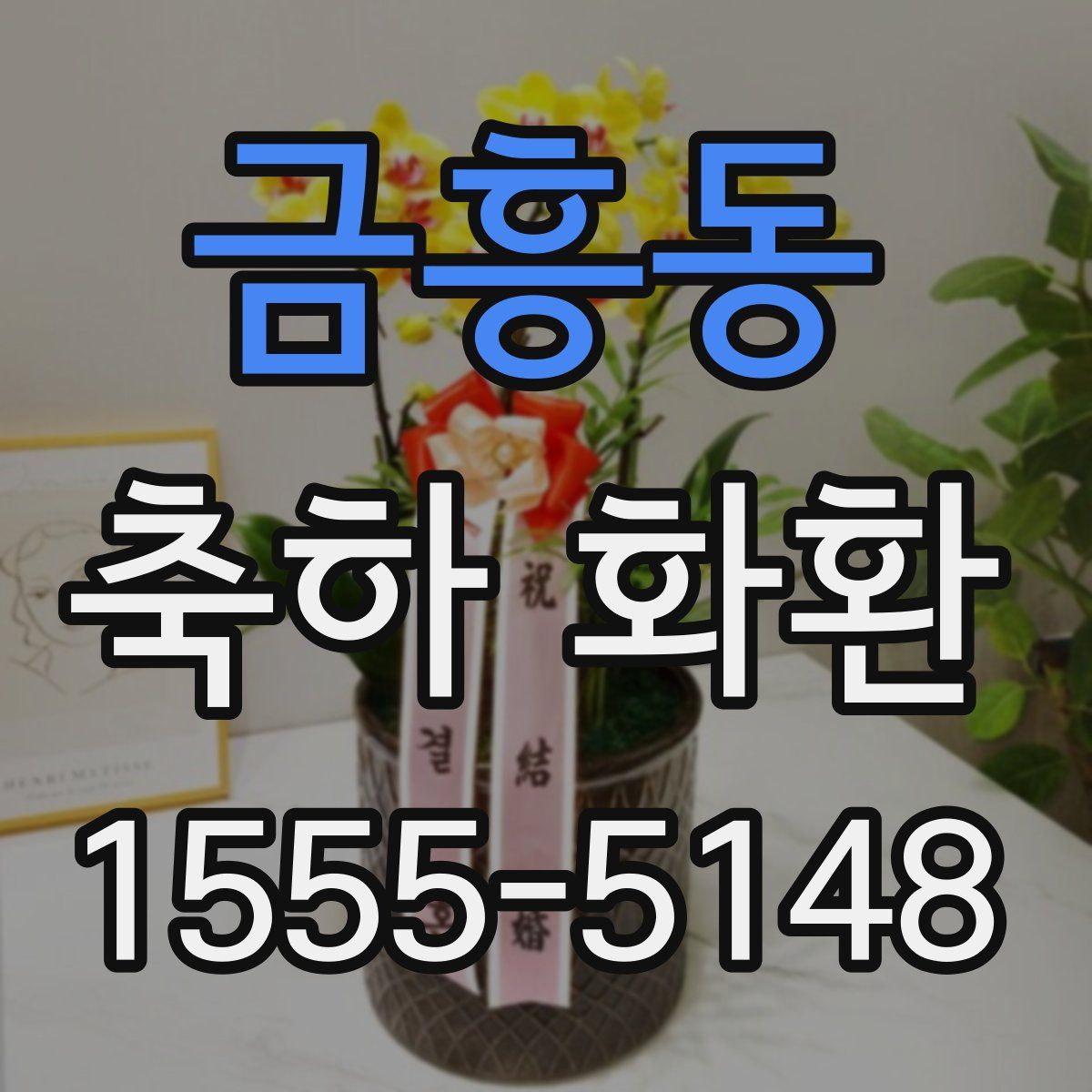 금흥동 축하 화환