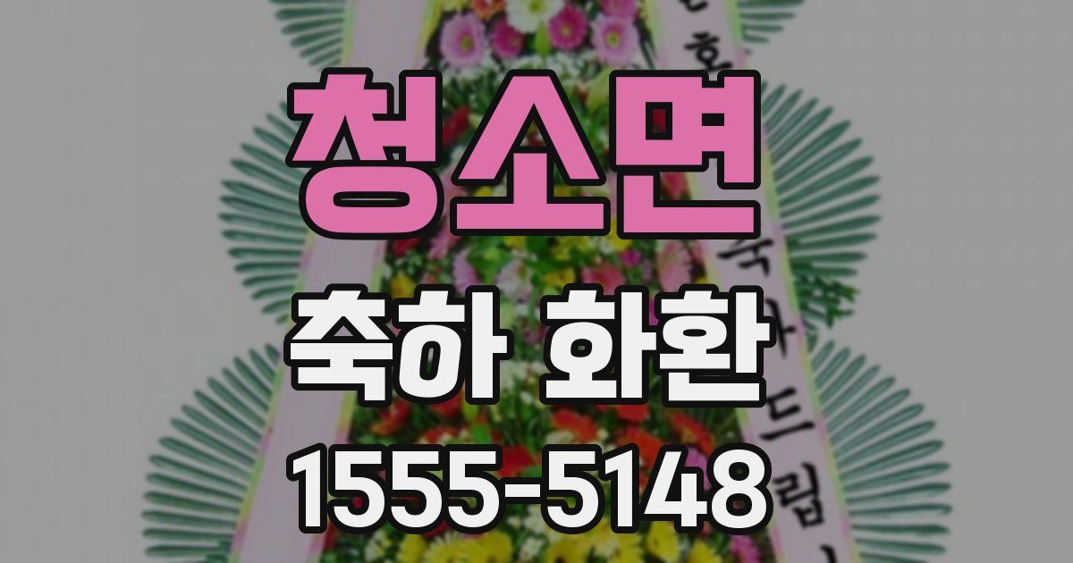 청소면 축하 화환