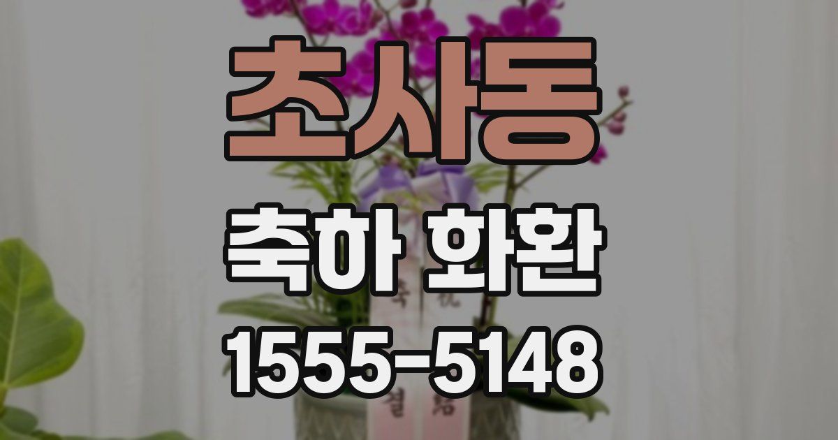 초사동 축하 화환