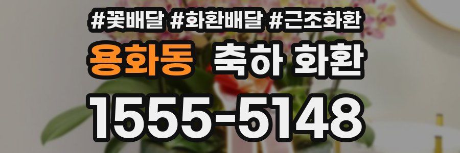 용화동 축하 화환