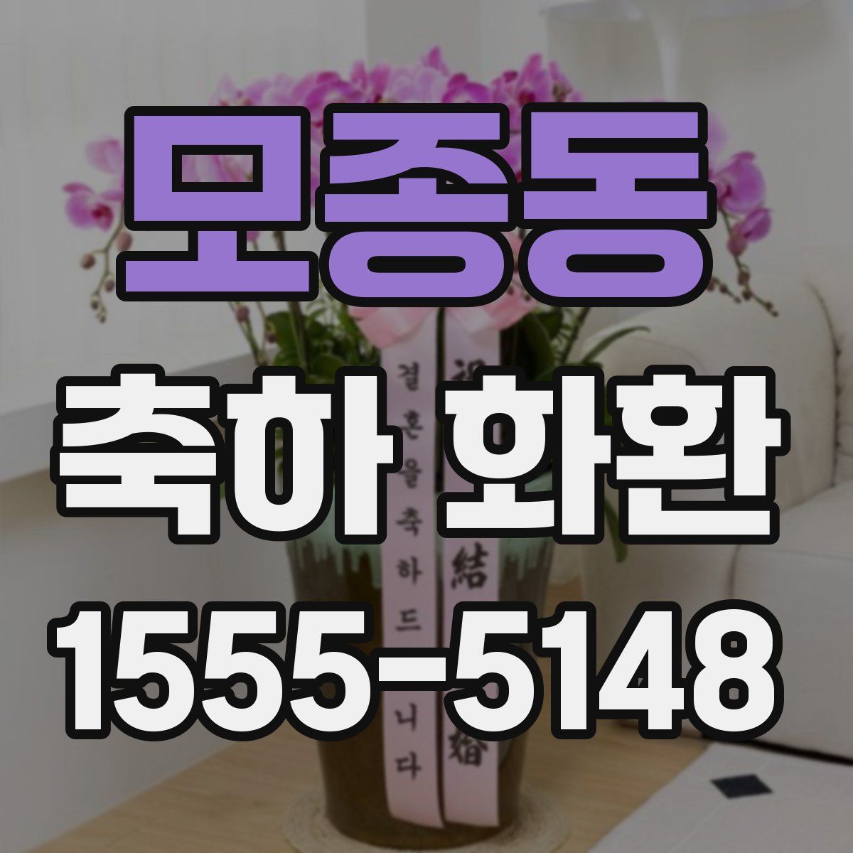 모종동 축하 화환