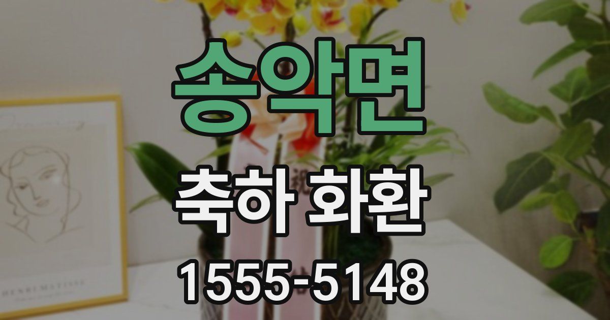 송악면 축하 화환