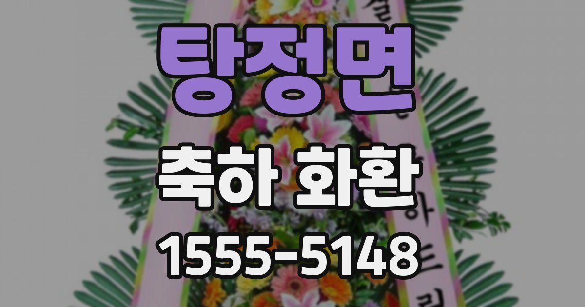 탕정면 축하 화환