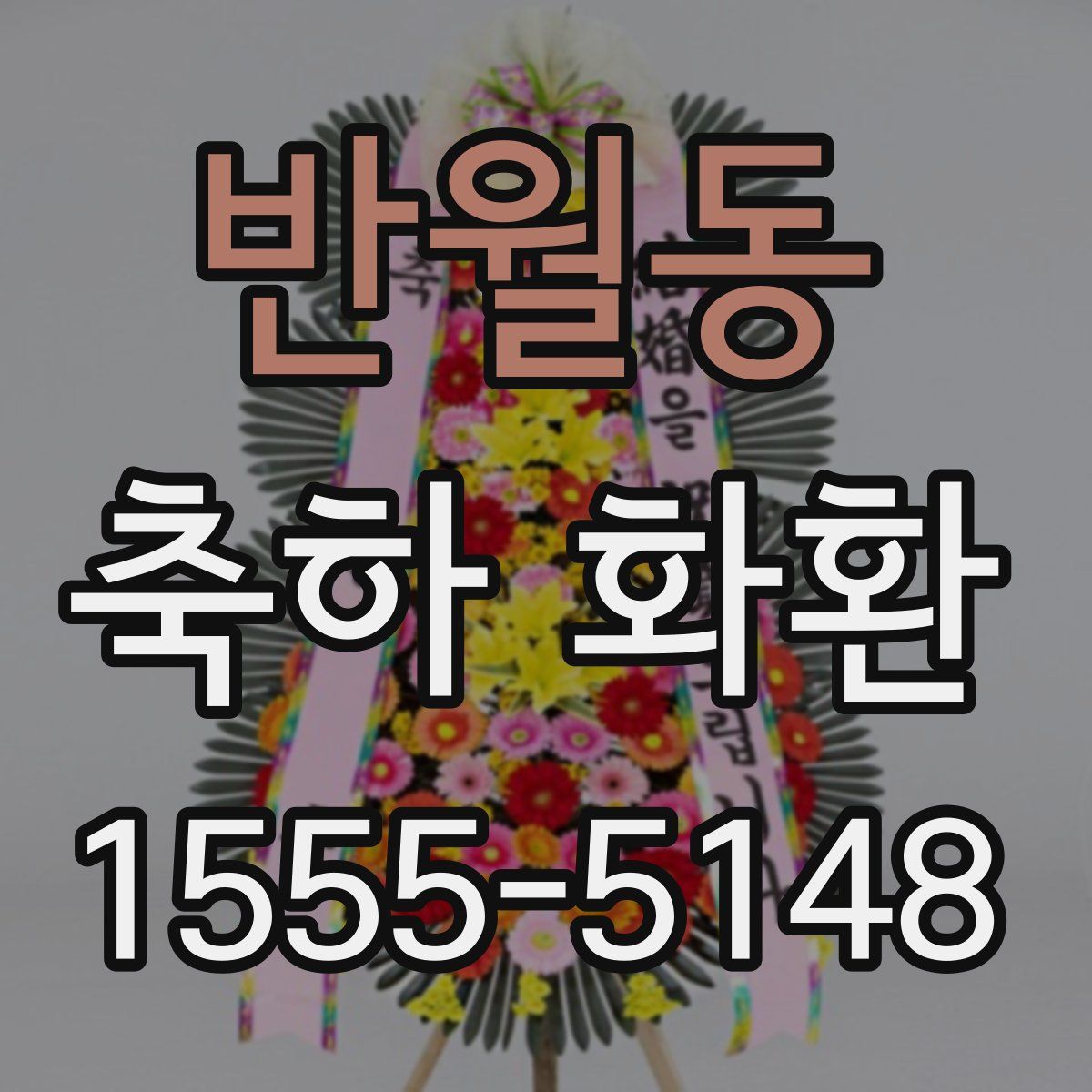 반월동 축하 화환
