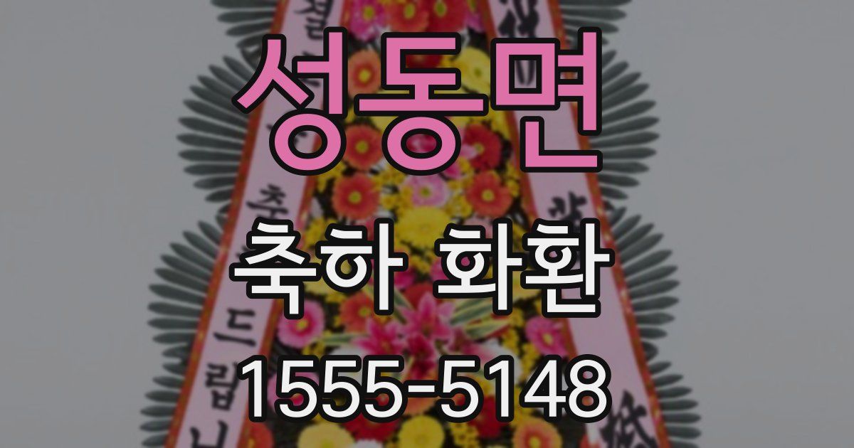 성동면 축하 화환