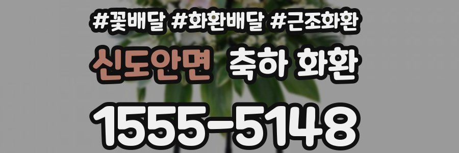 신도안면 축하 화환