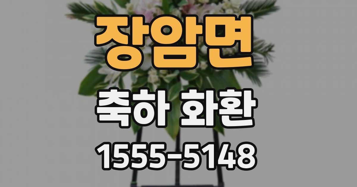 장암면 축하 화환