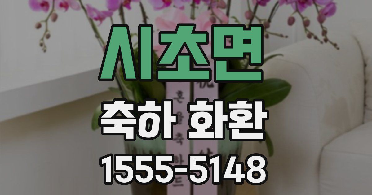 시초면 축하 화환