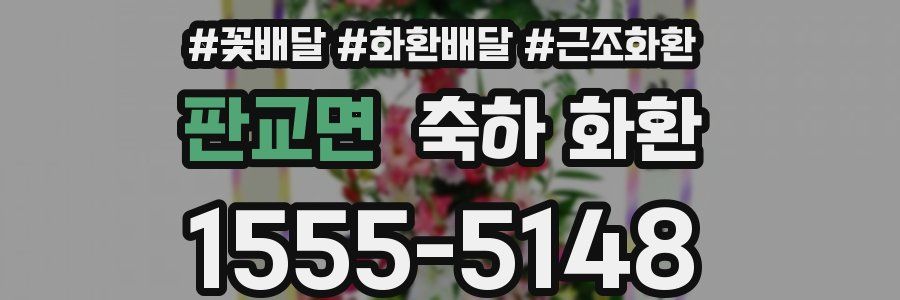 판교면 축하 화환