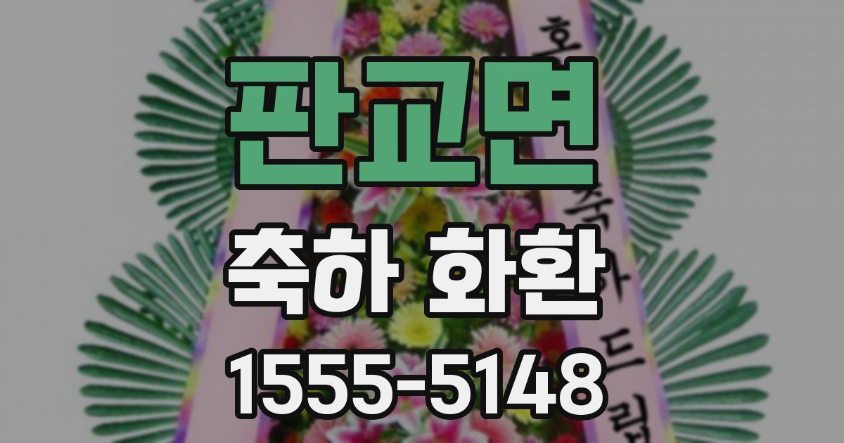 판교면 축하 화환