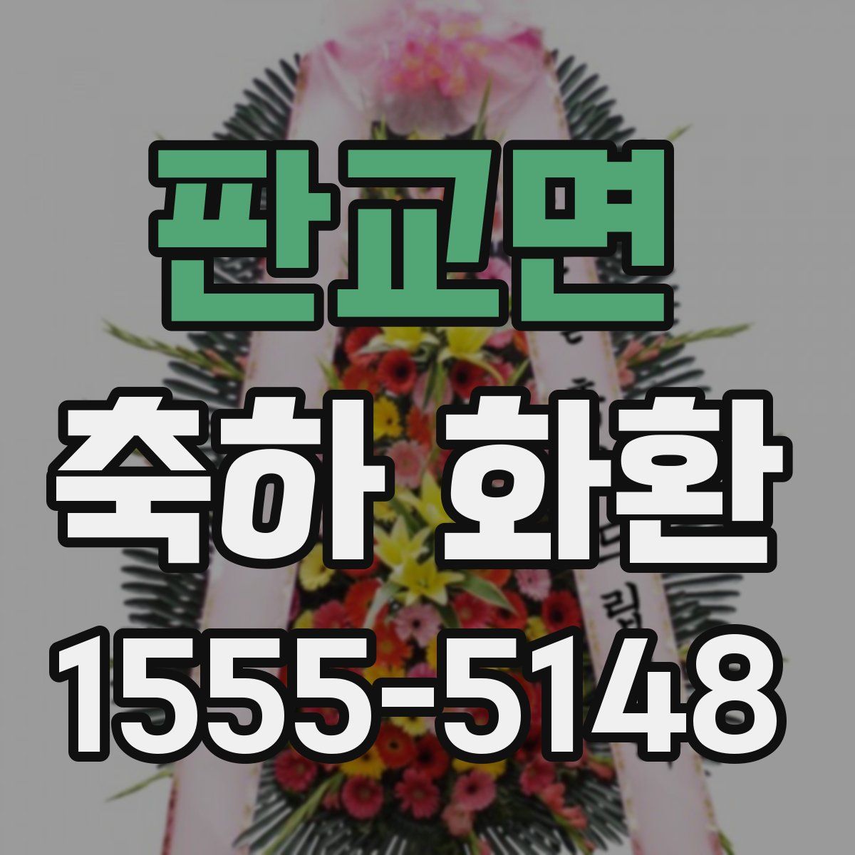 판교면 축하 화환