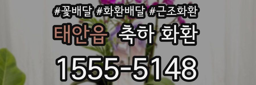 태안읍 축하 화환
