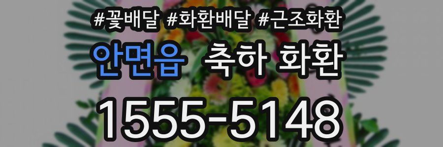 안면읍 축하 화환