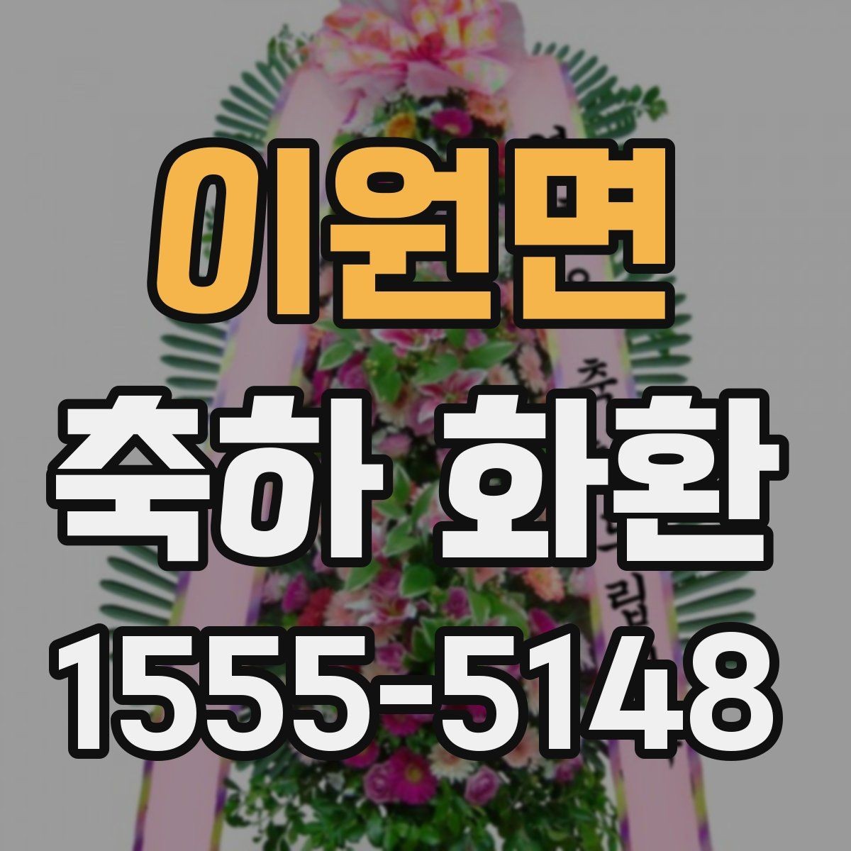 이원면 축하 화환 비교 포인트를 한눈에 정리