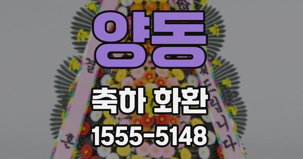 양동 축하 화환