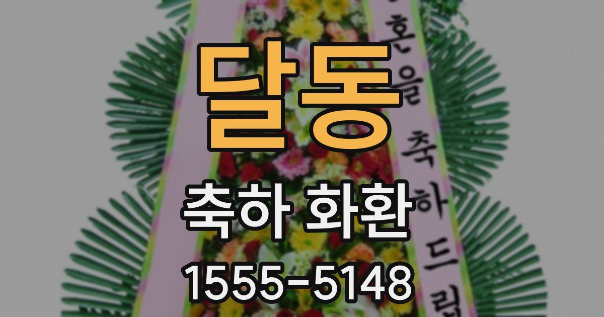 달동 축하 화환