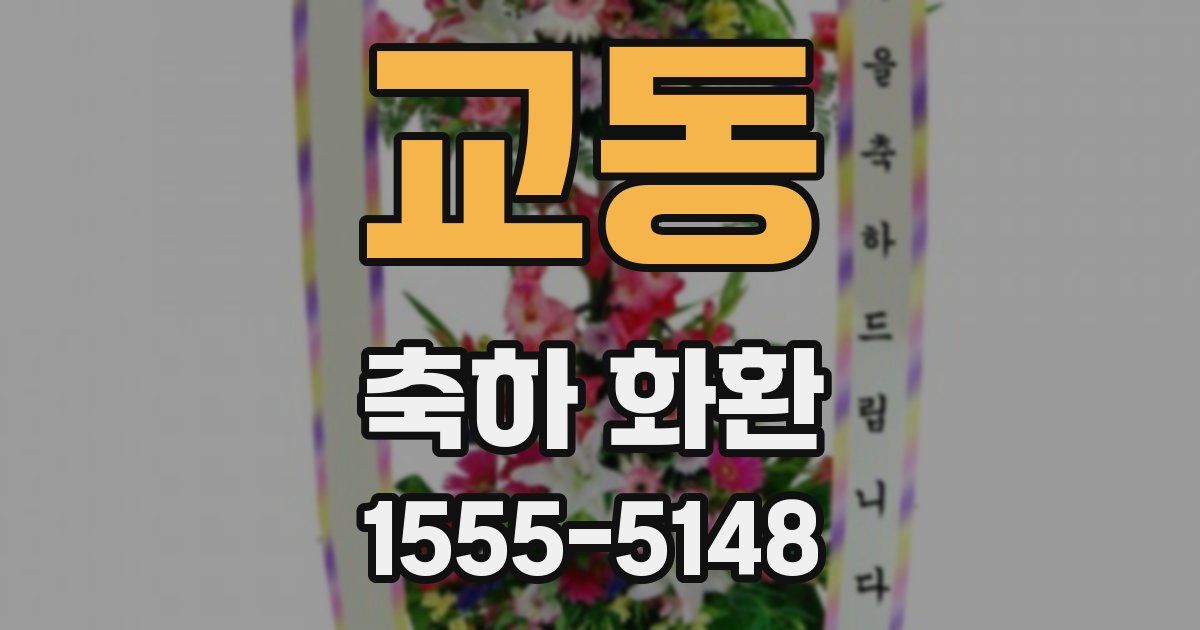 교동 축하 화환