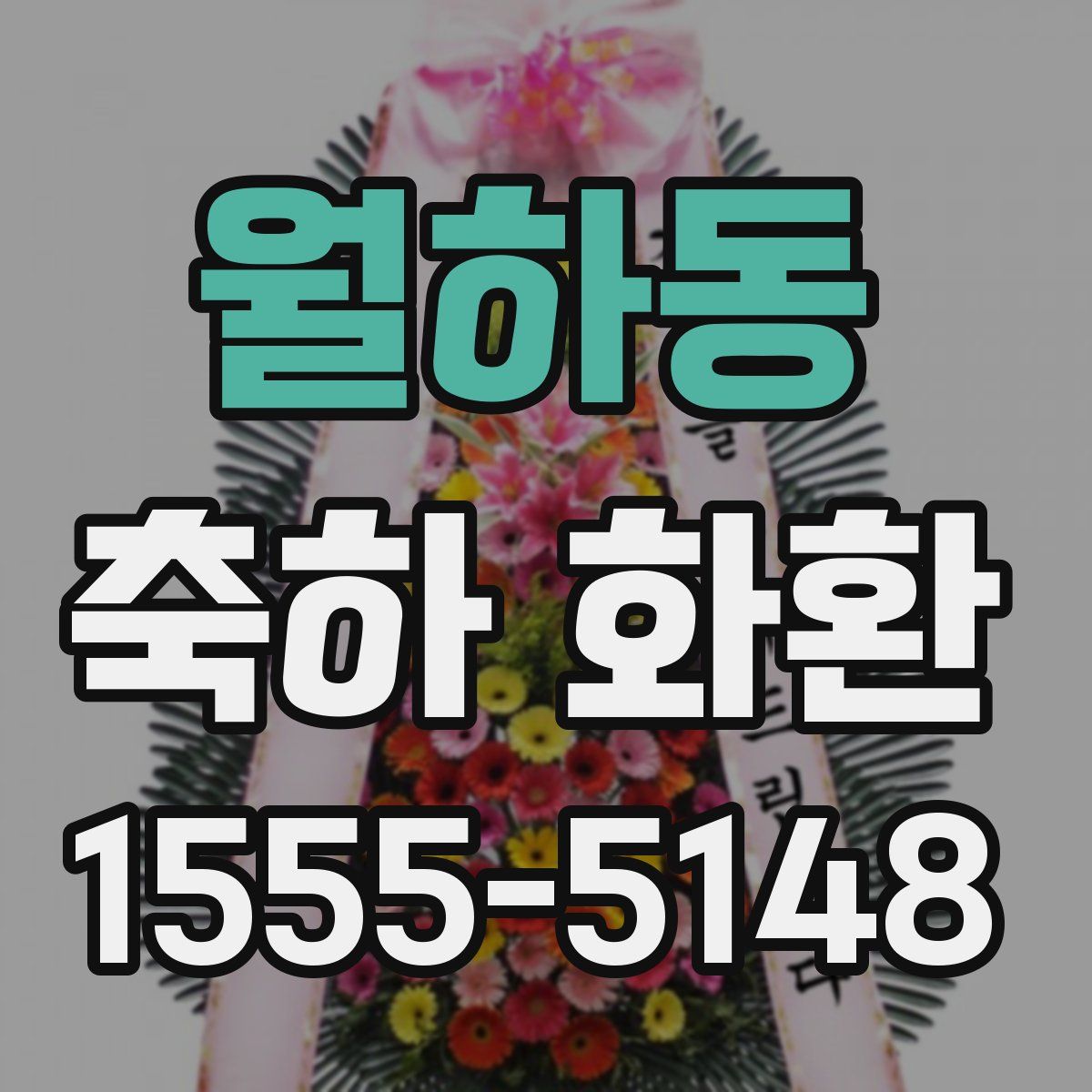 월하동 축하 화환