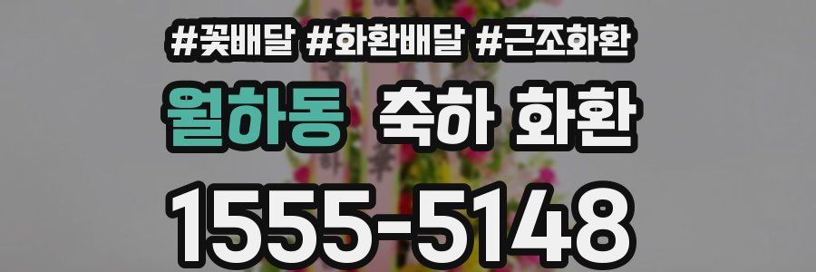 월하동 축하 화환