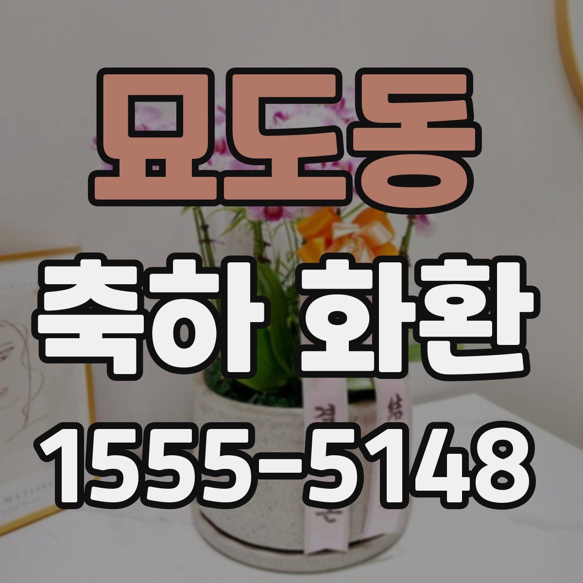 묘도동 축하 화환