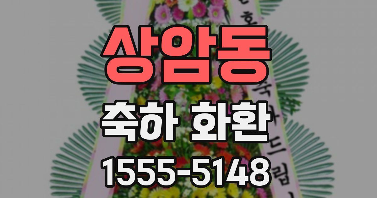 상암동 축하 화환