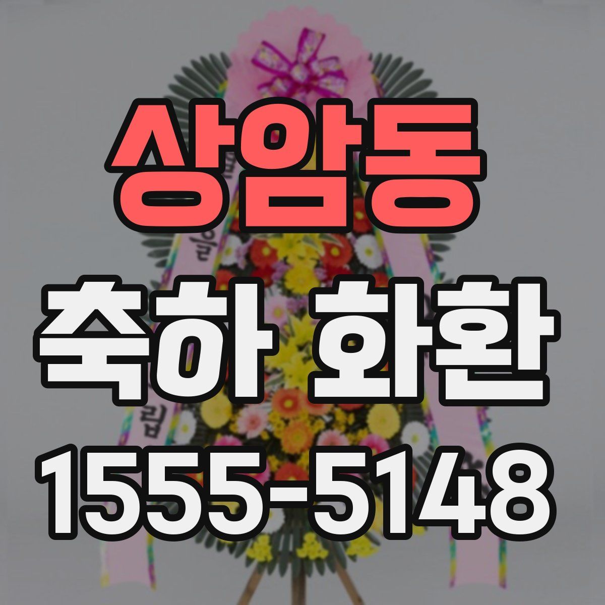 상암동 축하 화환