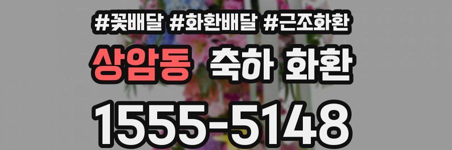 상암동 축하 화환