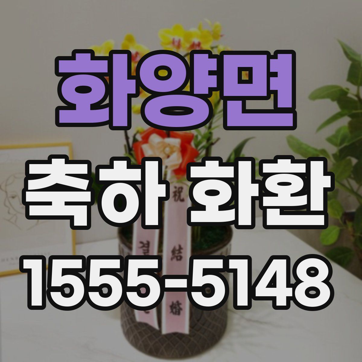 화양면 축하 화환