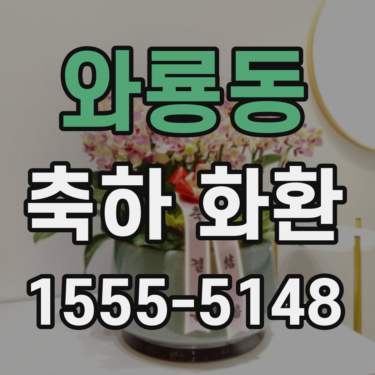 와룡동 축하 화환