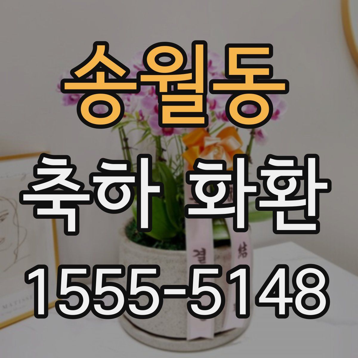 송월동 축하 화환