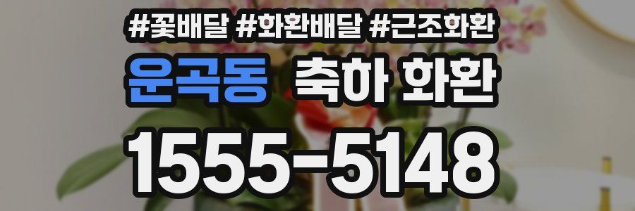 운곡동 축하 화환