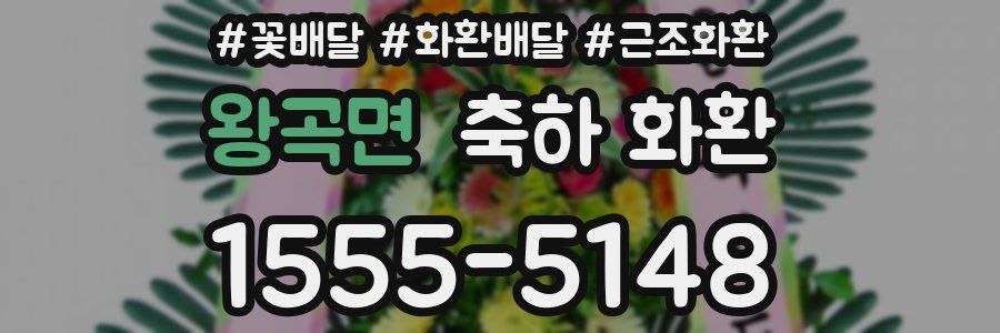 왕곡면 축하 화환