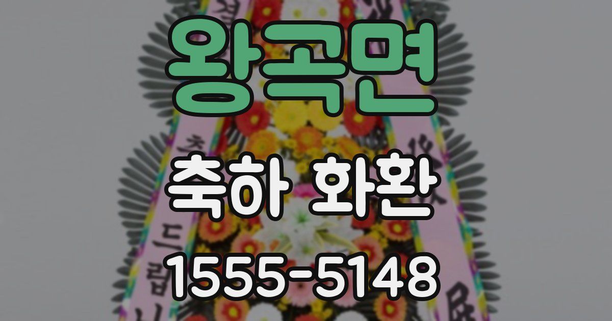 왕곡면 축하 화환