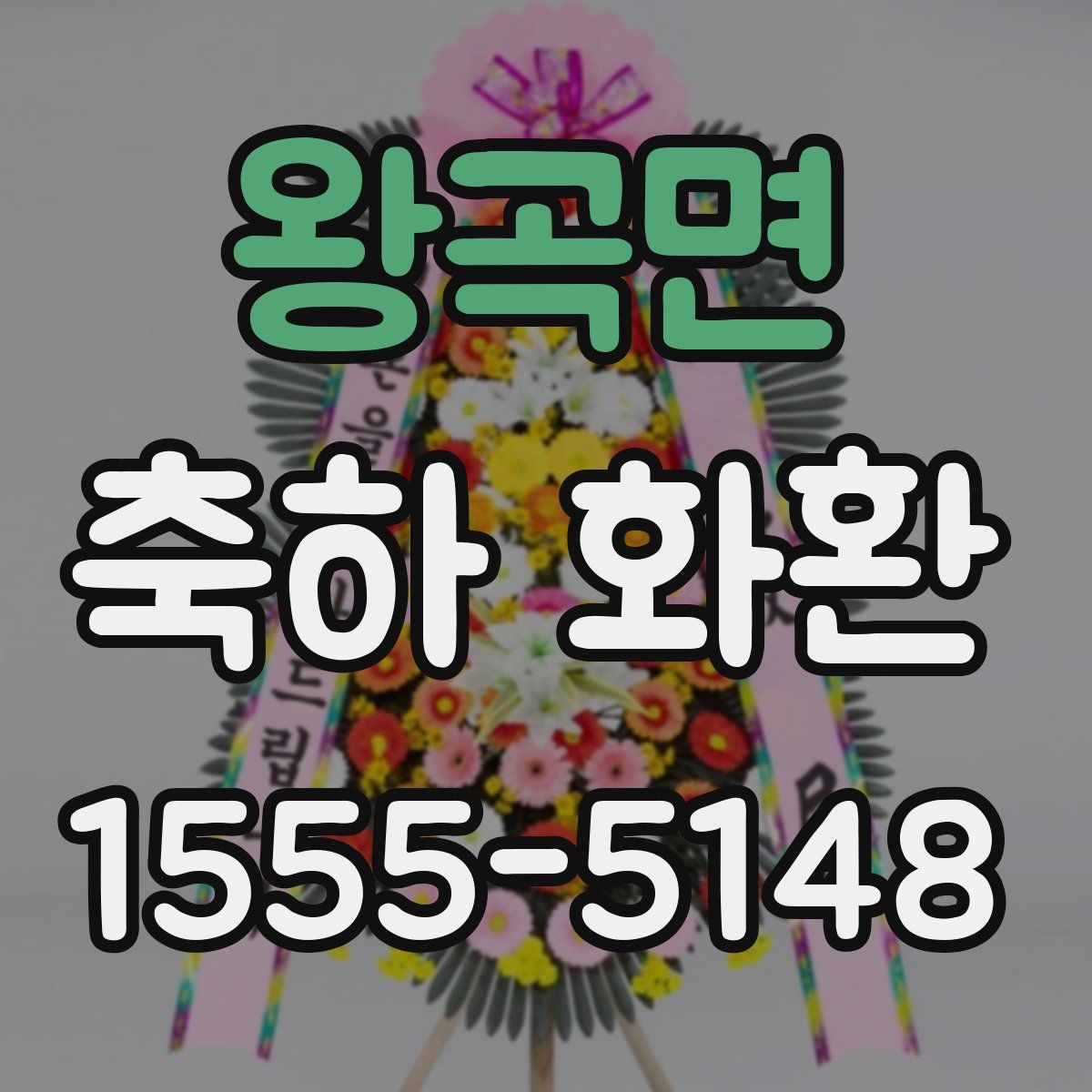왕곡면 축하 화환