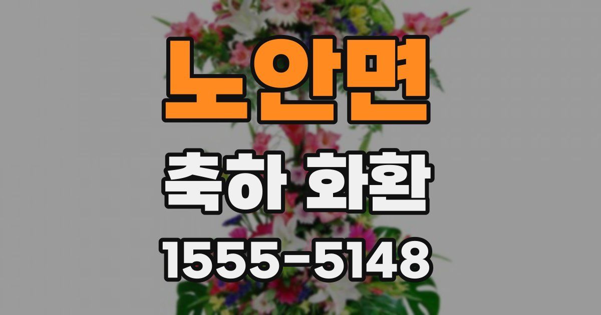 노안면 축하 화환