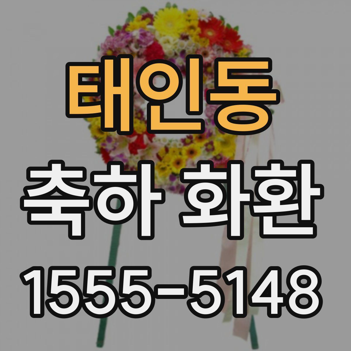 태인동 축하 화환