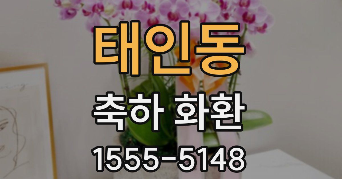 태인동 축하 화환