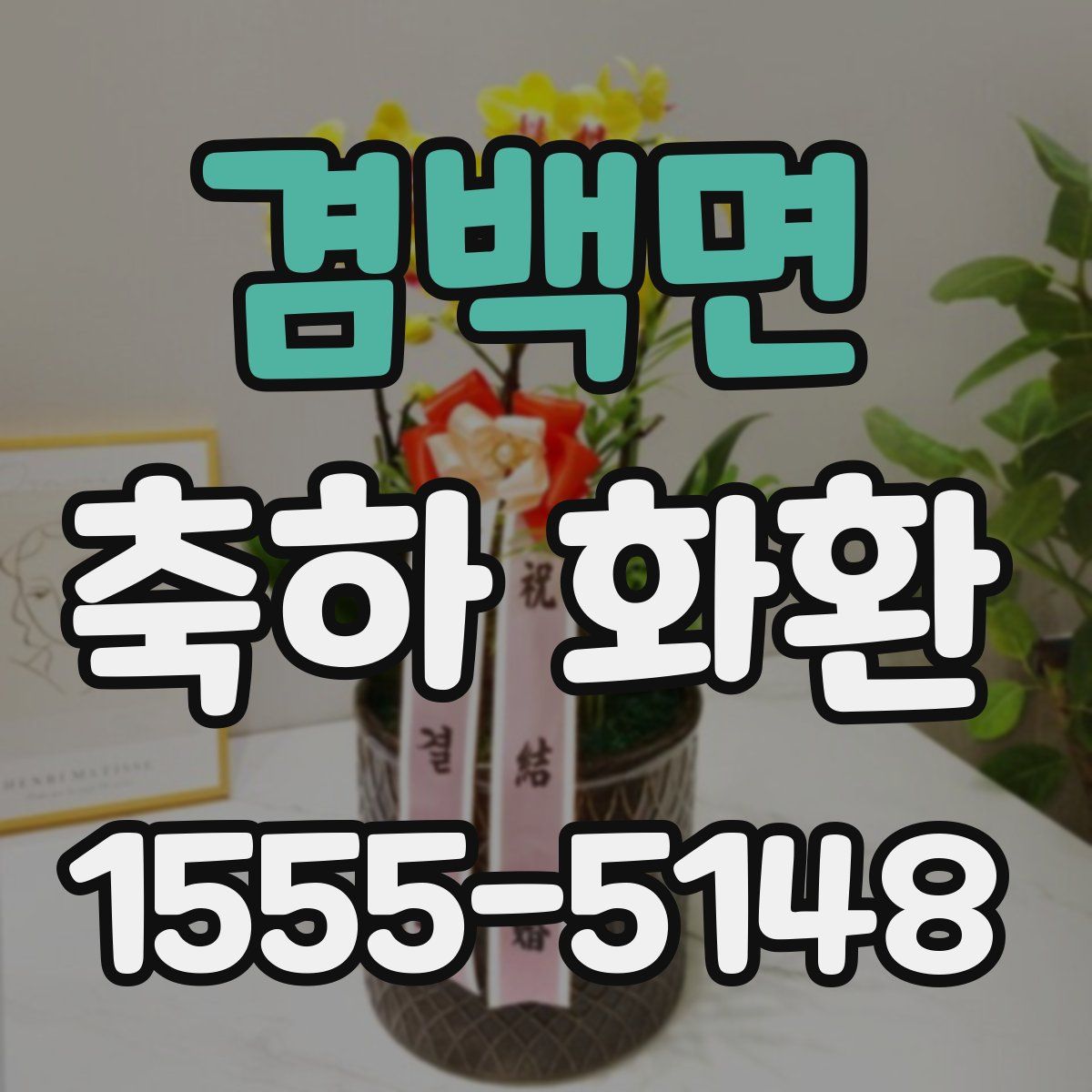 겸백면 축하 화환