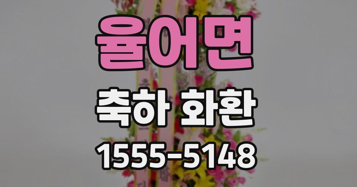 율어면 축하 화환
