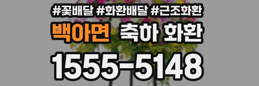 백아면 축하 화환