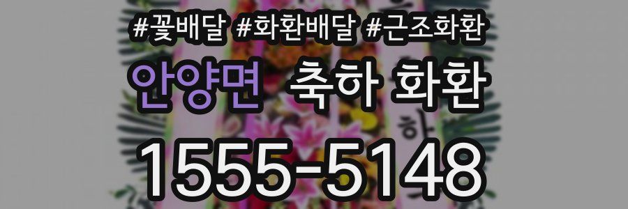 안양면 축하 화환