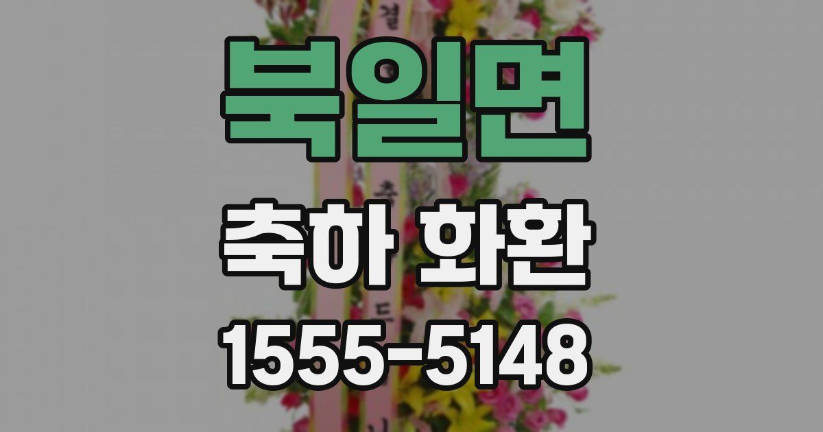 북일면 축하 화환