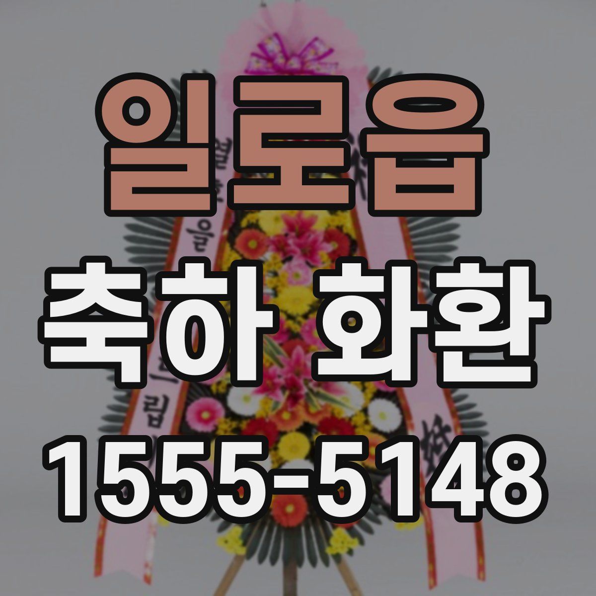 일로읍 축하 화환