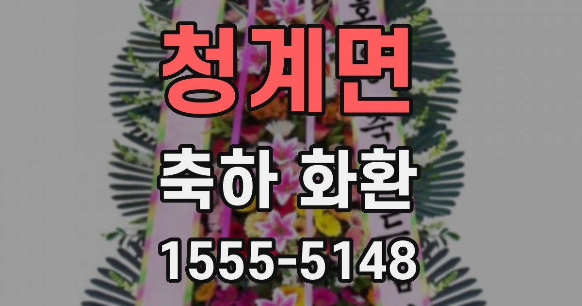 청계면 축하 화환