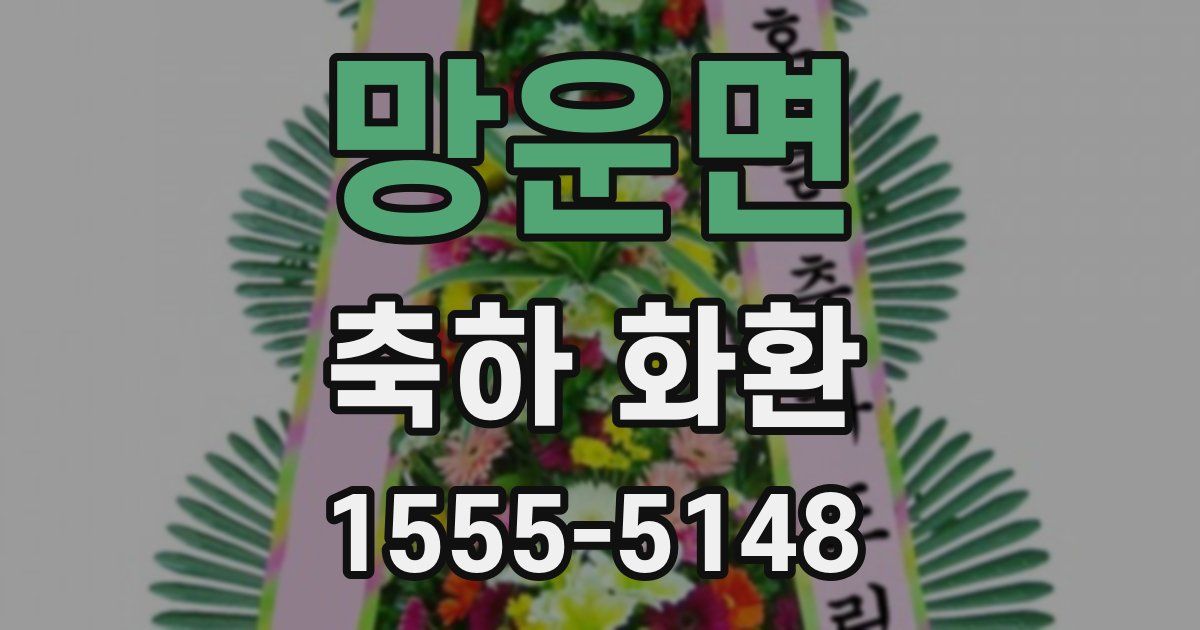 망운면 축하 화환