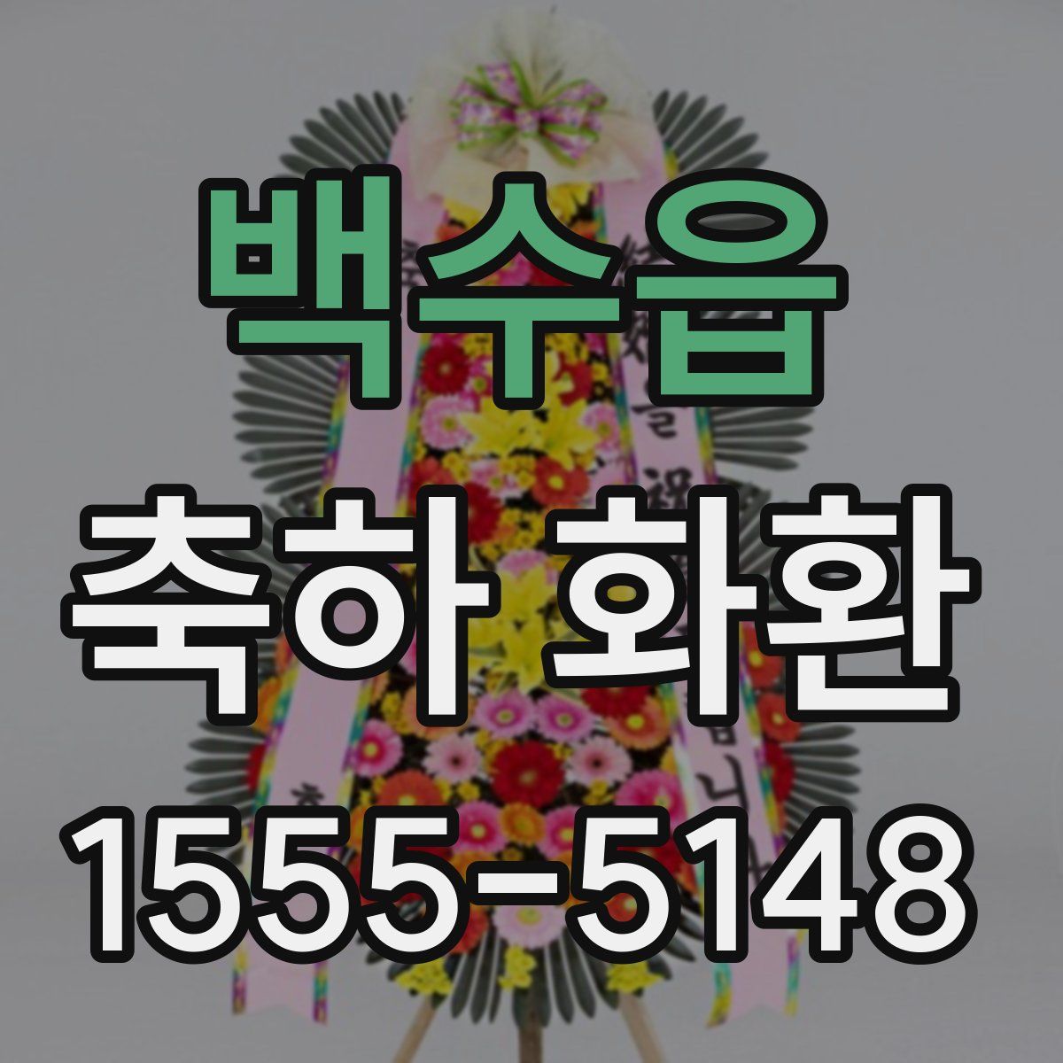 백수읍 축하 화환