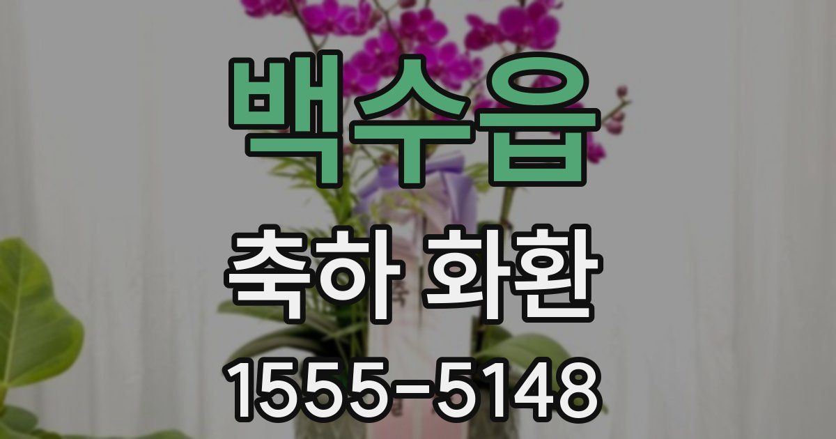 백수읍 축하 화환