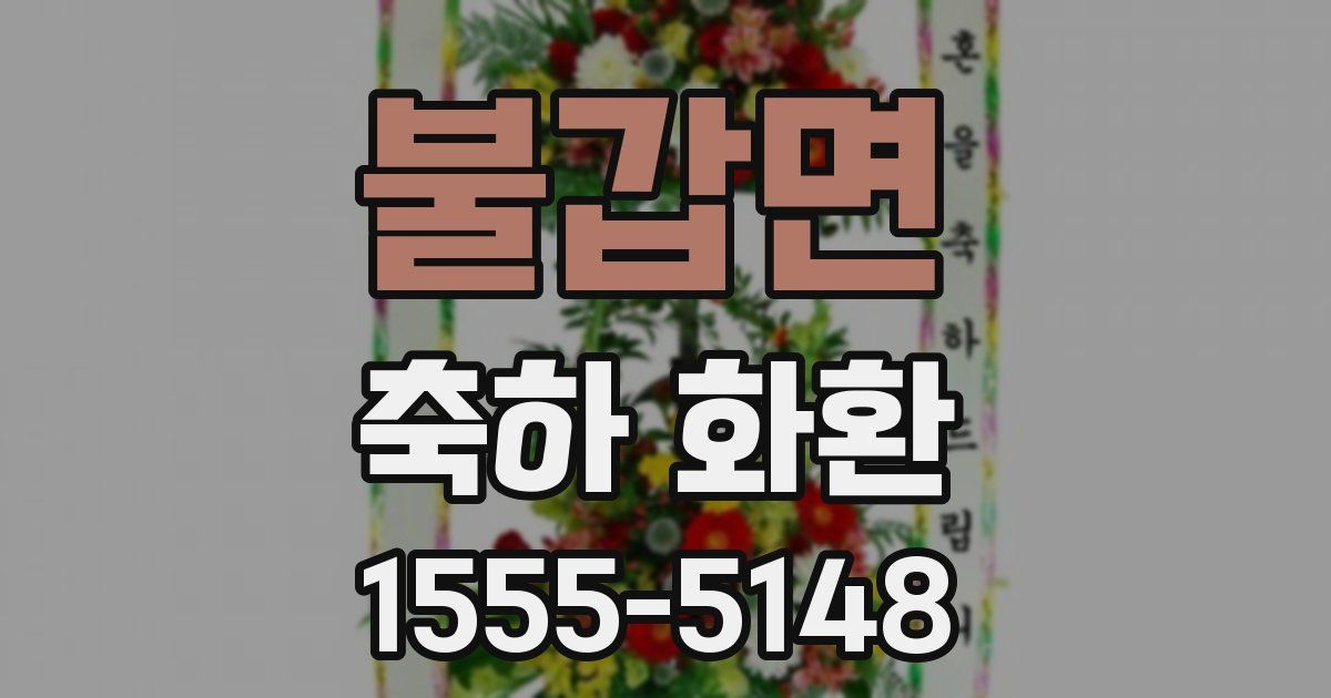 불갑면 축하 화환